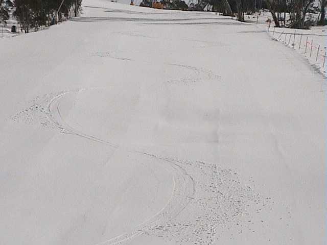 Sybies first tracks down Supertrail earlier in the week