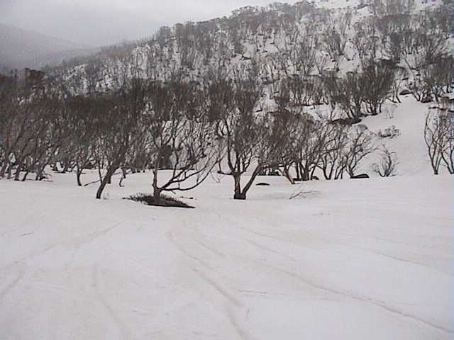 Rain patterns in the snow above lower Bogong Creek (Sunday)