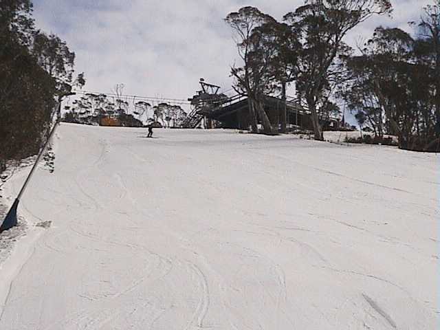 Supertrail below BunnyWalk (Monday)