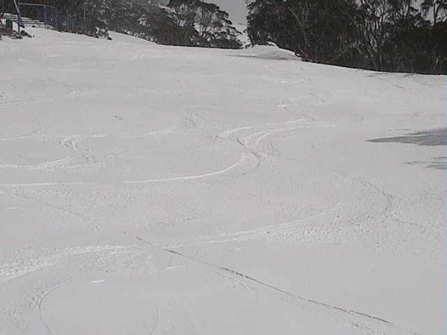 Freshies on Supertrail  Friday morning