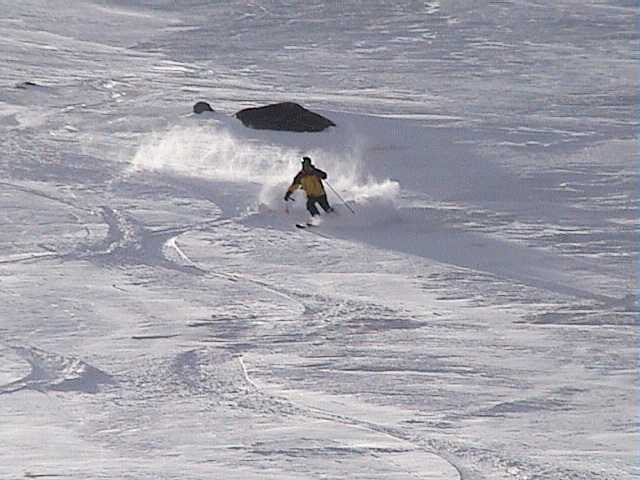 Ray still getting more freshies