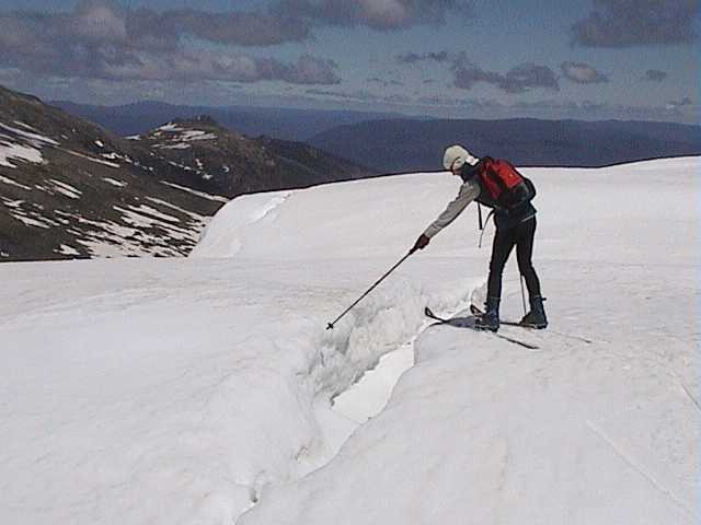 Acacia checks a fissure in the cornice