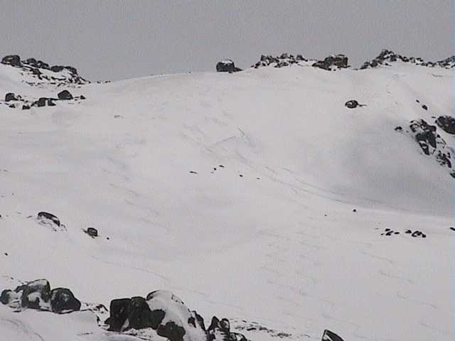 Fresh tracks off Signature Hill - after yesterdays tracks were covered overnight