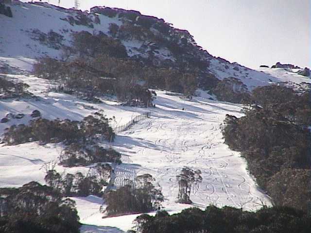 Freshies on the upper Supertrail