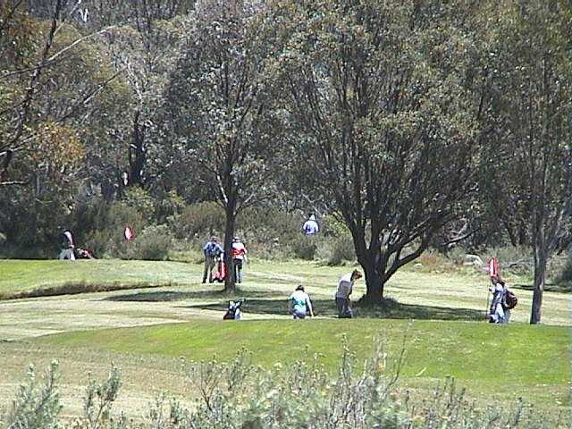 The golf course was a popular place every day