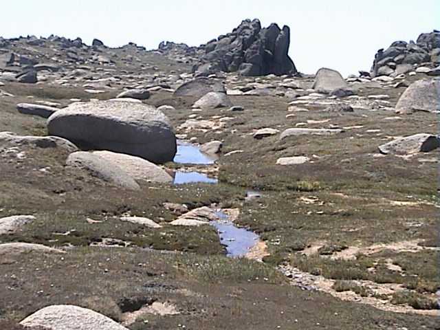 The high-alpine streams are diminishing