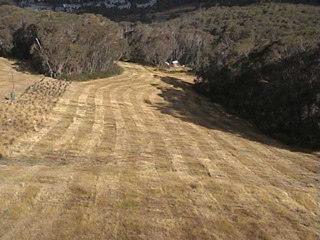 Looking from Supertrail towards Tower 10