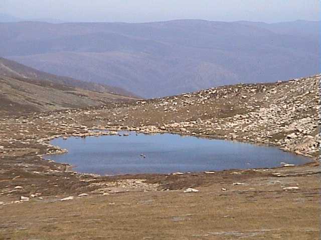 Lake Cootapatamba - one of the few remaining wet spots on the main range