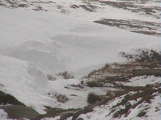 The alpine creeks are flowing once again