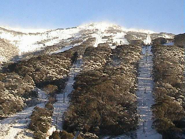 Sunday morning - looking up Crackenback