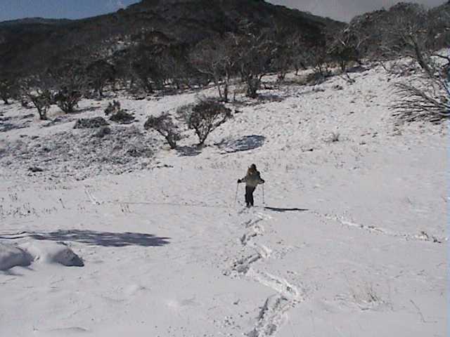 The first tracks at Dead Horse Gap?