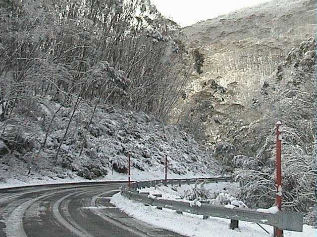 Luckily the snowploughs were out early on the Alpine Way