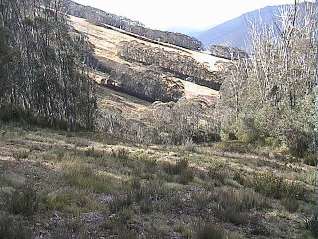 Looking across the Crackenback Supertrail from the kink in Funnel Web