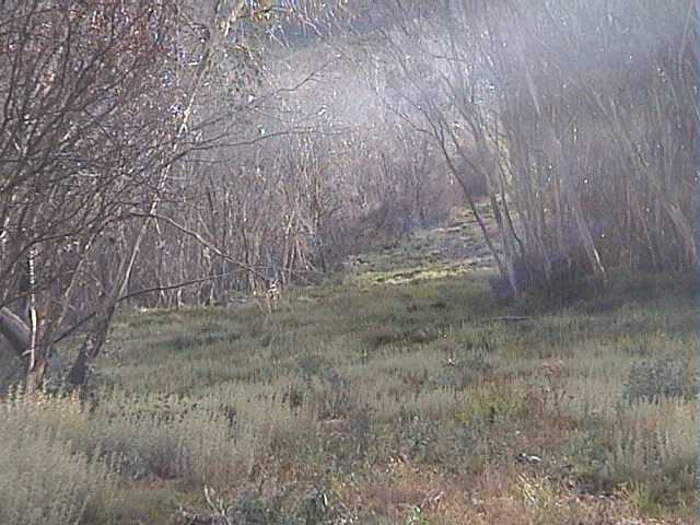 Lush pastures - looking back up Funnel Web