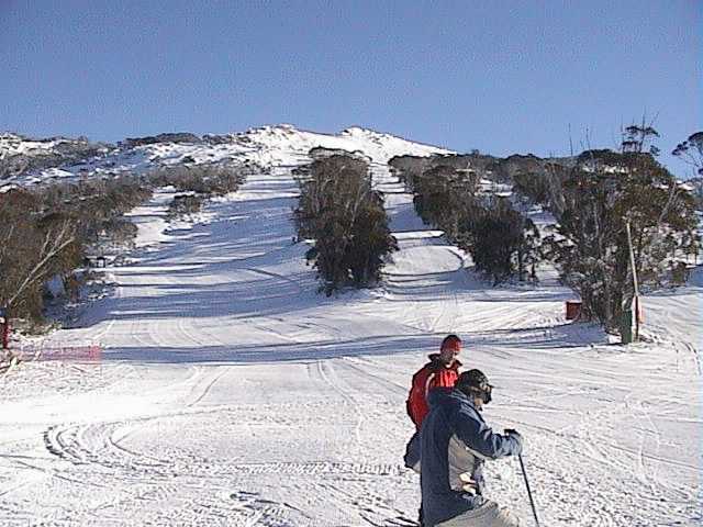 Fresh snow, blue skies, no wind, uncrowded slopes  paradise