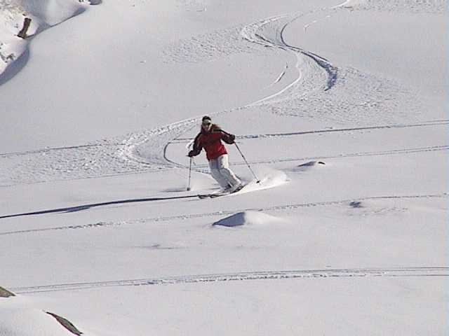 Marion laying some freshies