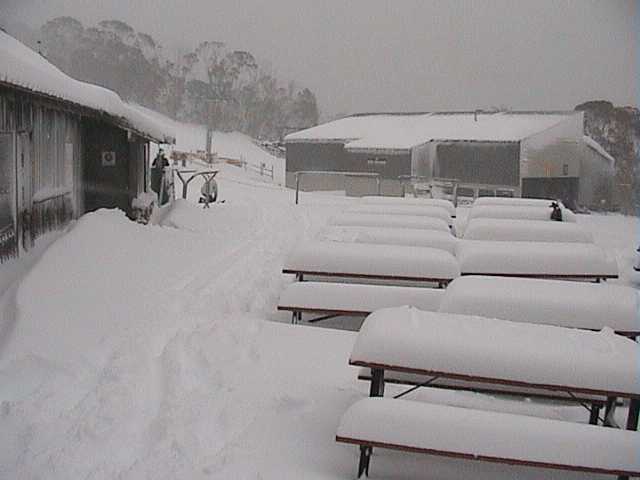 Saturday morning  top of Merritts chair