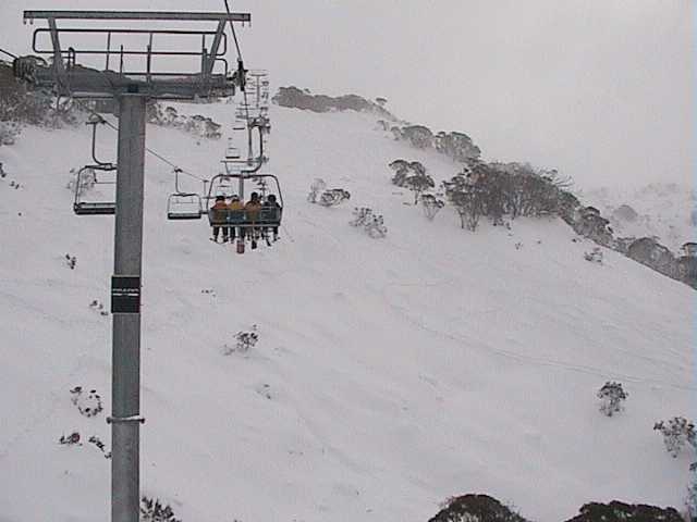 Powder Bowl with that 45cms since Thursdays report