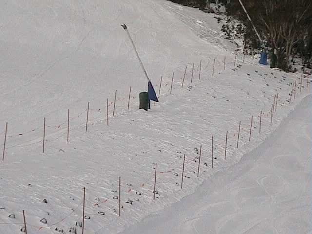 Natural snow depth (covering the trees) below mid station on the Supertrail