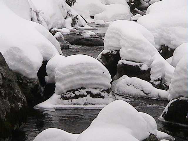 Snows on Bogong Creek at Dead Horse Gap