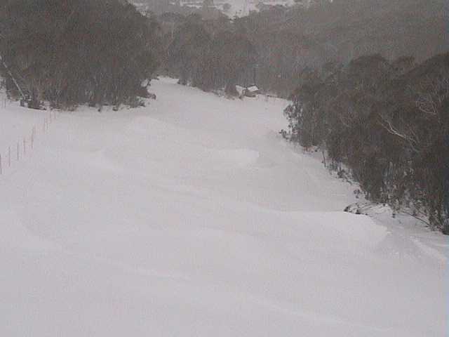 New terrain park being built above Tower 10