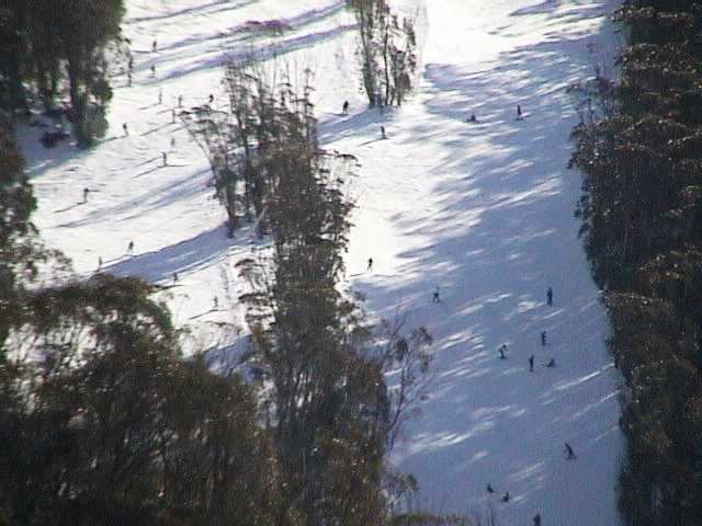 Holiday crowds on High Noon last week