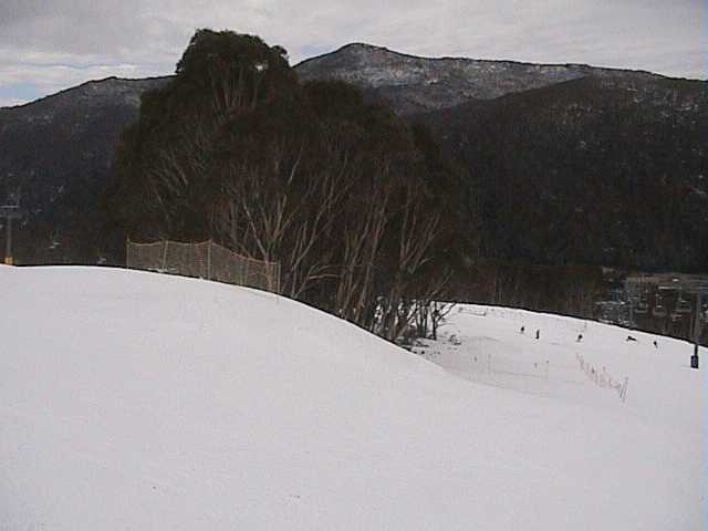 New terrain park on Meadows