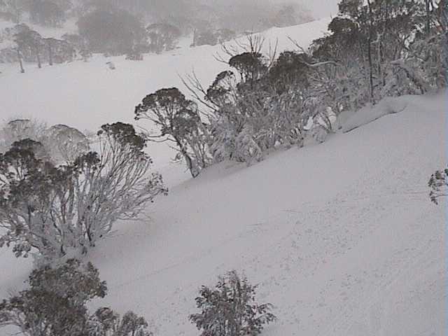 Fresh wet snow below the Bluff on Sunday morning