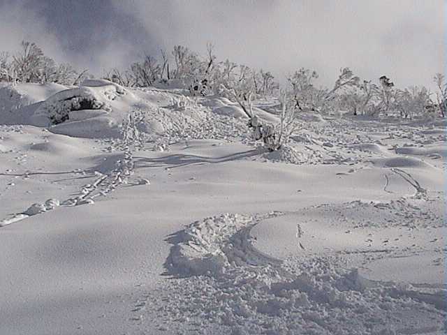 Wet snow balling in Golf Course bowl  less than stable