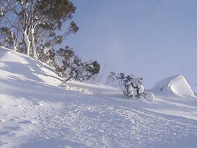 Freshies below the Bluff this morning