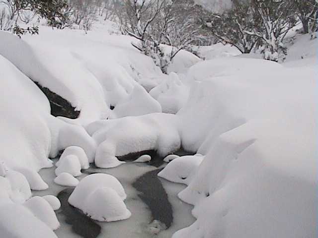 Bogong Creek