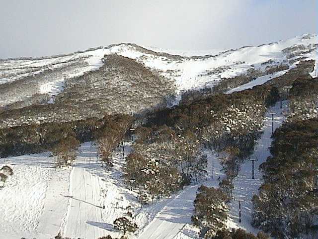 New groomed runs this morning above the Kosi Express base