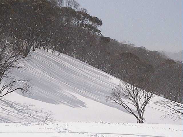 Snow flakes falling at DHG while the sun shines over Thredbo