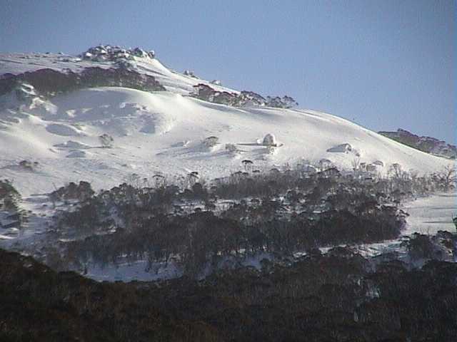 Behind Wiamea