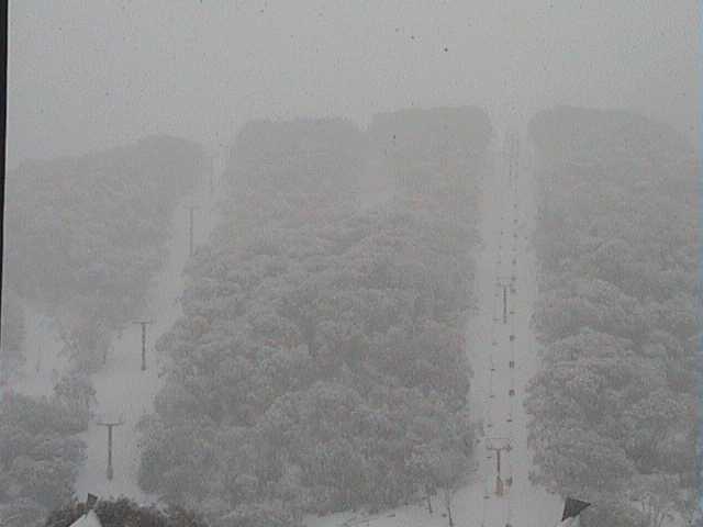 Late Update (1:30pm) - Snowgums chair opens in blizzard