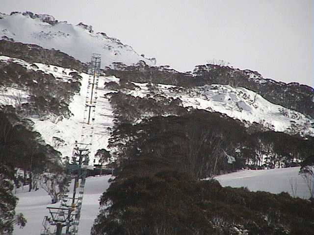 Snowgums chair