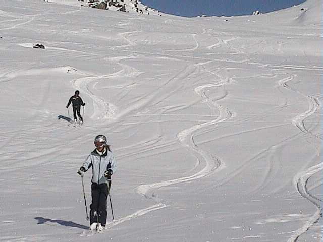 Linda & Elfie getting freshies out back - Wednesday