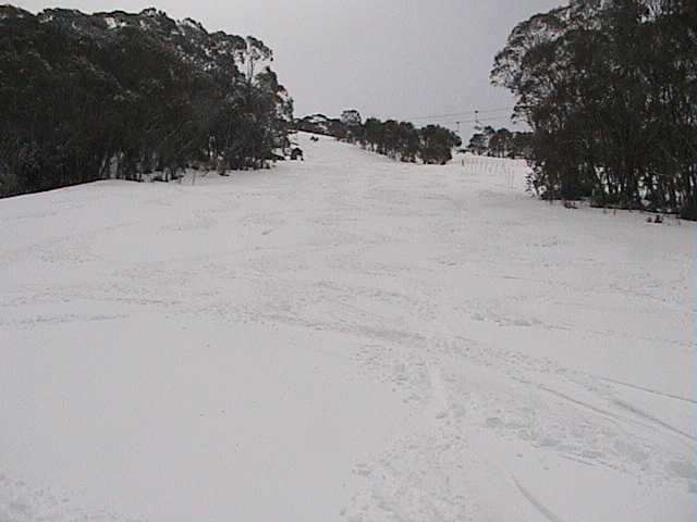 Freshies Tuesday looking up the Balls course from Tower 10