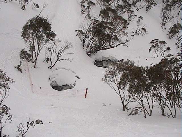 Top of Bunny Walk closed after the creek suddenly opened up 