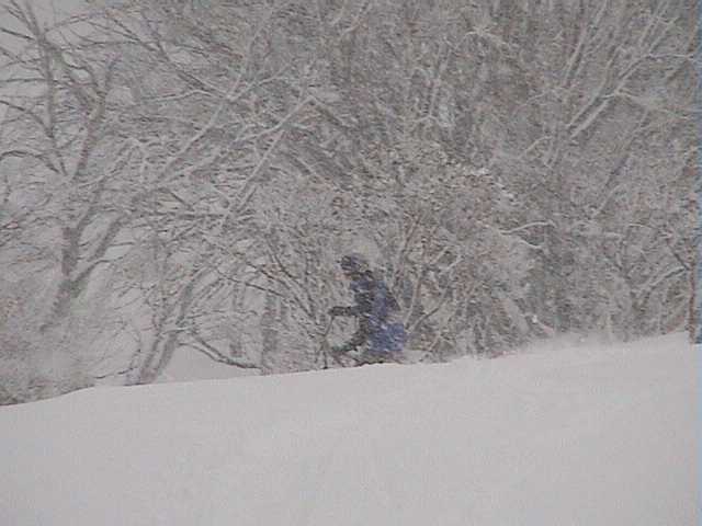 Like a scene from Japan  Peter disappears in heavy snow fall