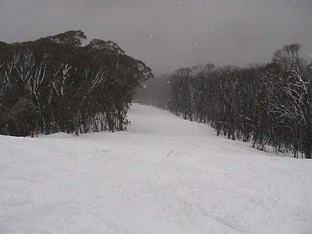 Looking down lower Funnel Web through the falling snow