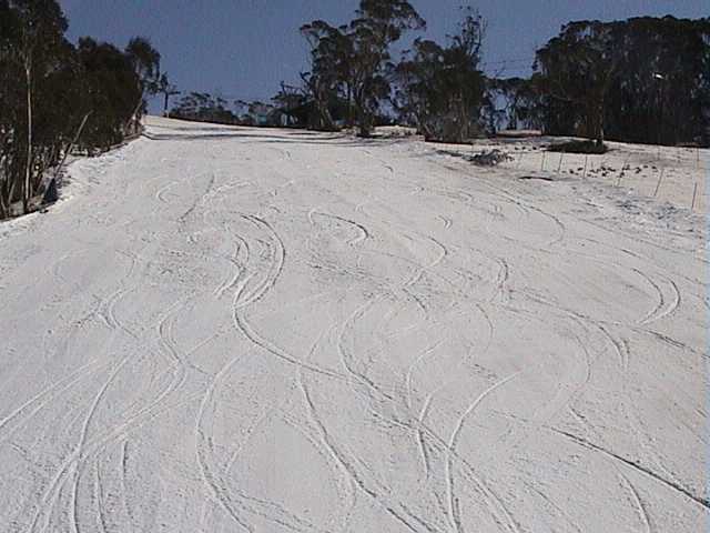 Looking up World Cup from the Meadows mid station