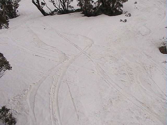 Sticky freshies below the Bluff on Saturday morning