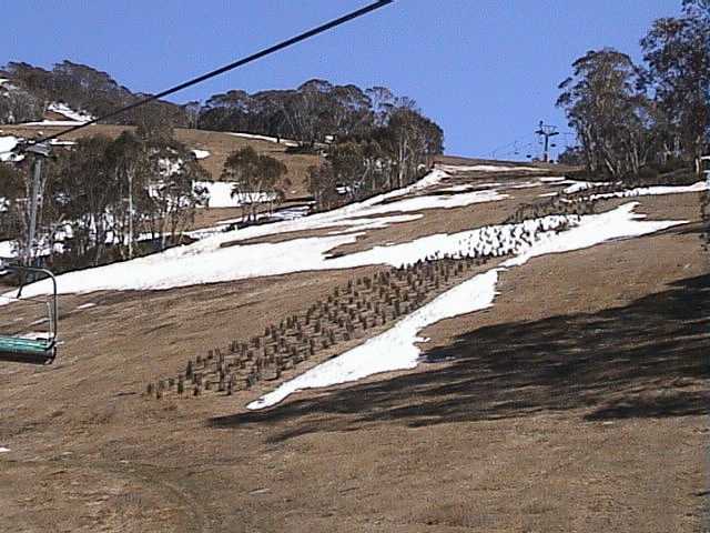 The Meadows and Bunny Walk have lost almost all of their cover