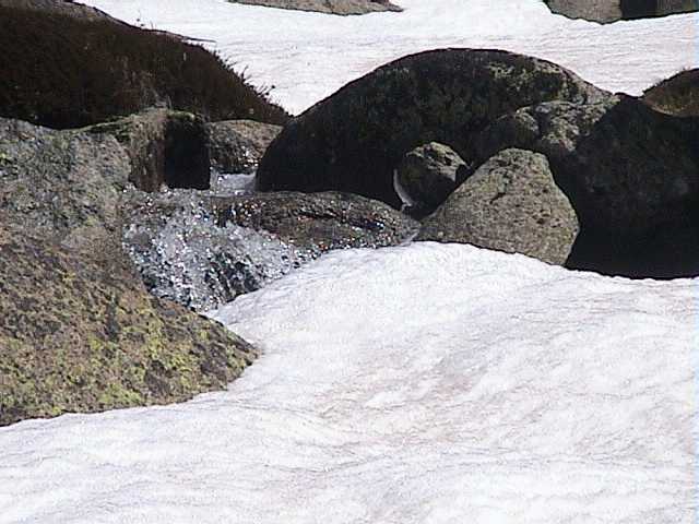 Alpine stream high above Karels opening up