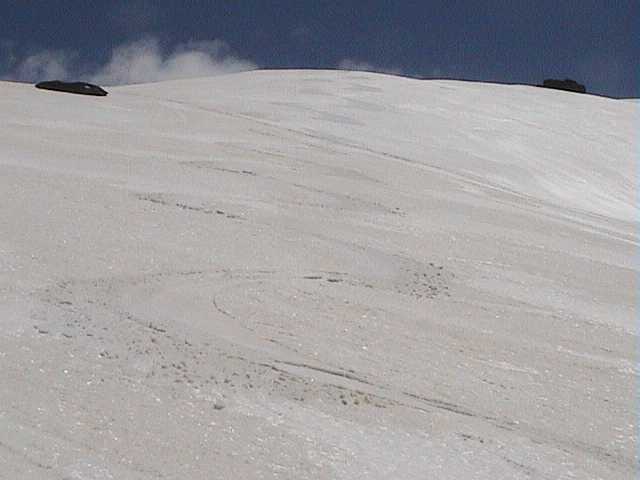 Signature Hill where the best snow is the brown snow