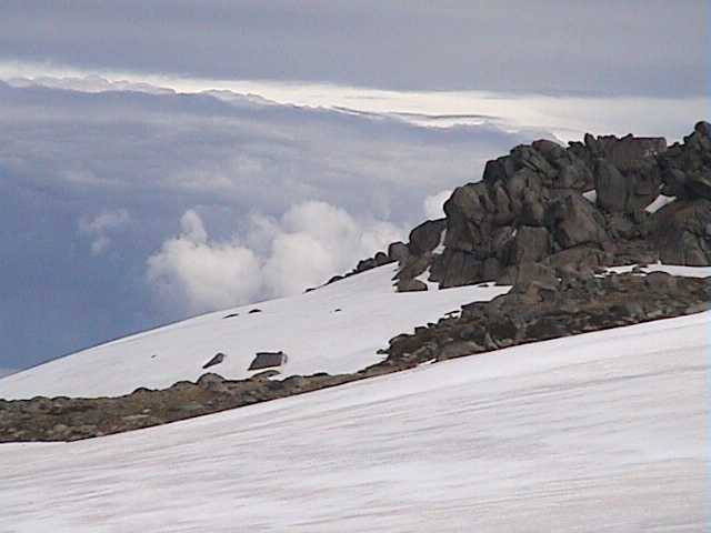 Looking south to heavy clouds