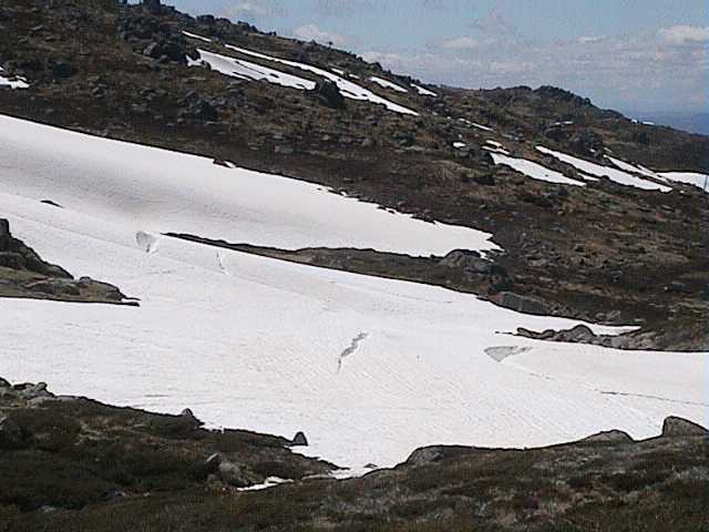 Crevasses opening up as the snow pack collapses into Merritts Creek behind Eagles Nest