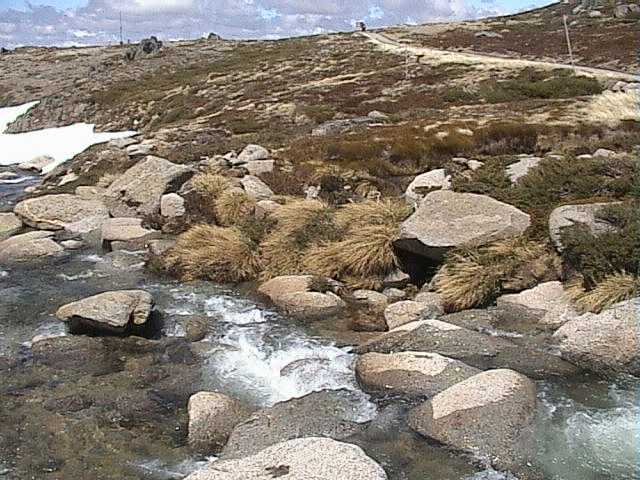 Where I photographed the snow bank and ice formations last week (<a href='http://www.ciau.com.au/snow/rrhist3.asp?rrid=164&mth=10/01/2004'>see previous report</a>)