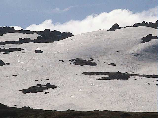 Snail trails on Signature Hill